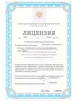Лицензия (страница 1)